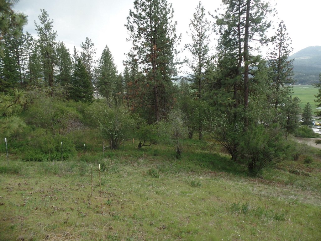 Picture 11
