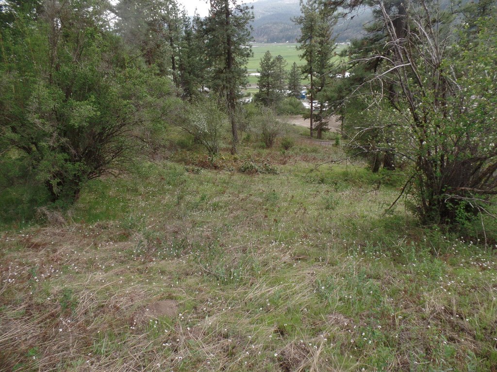 Picture 12