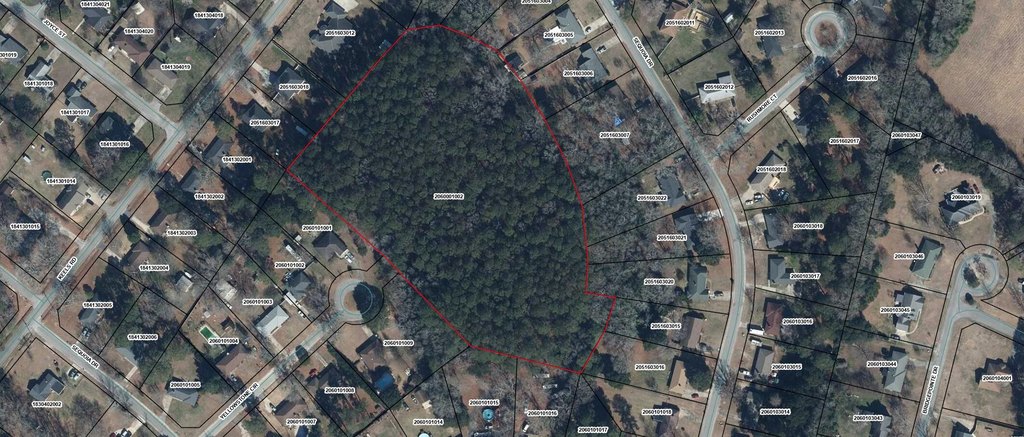 Picture 5