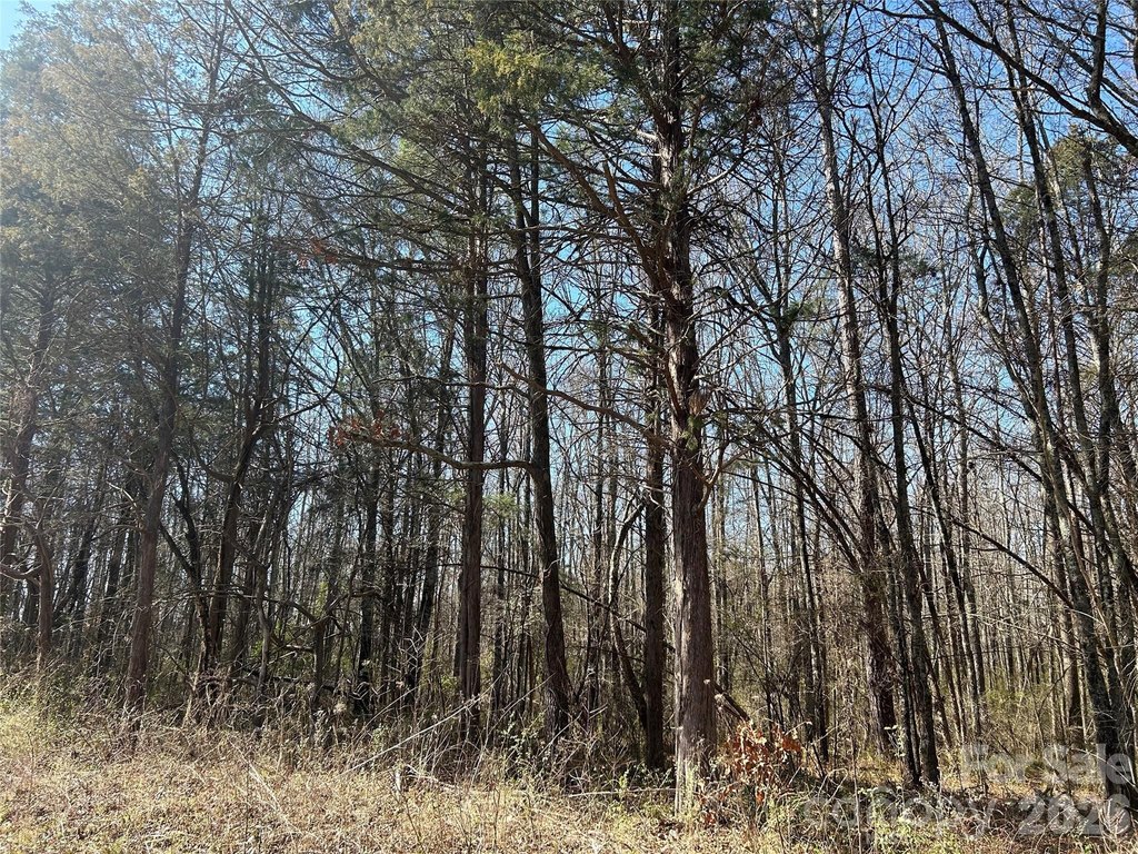 Picture 27