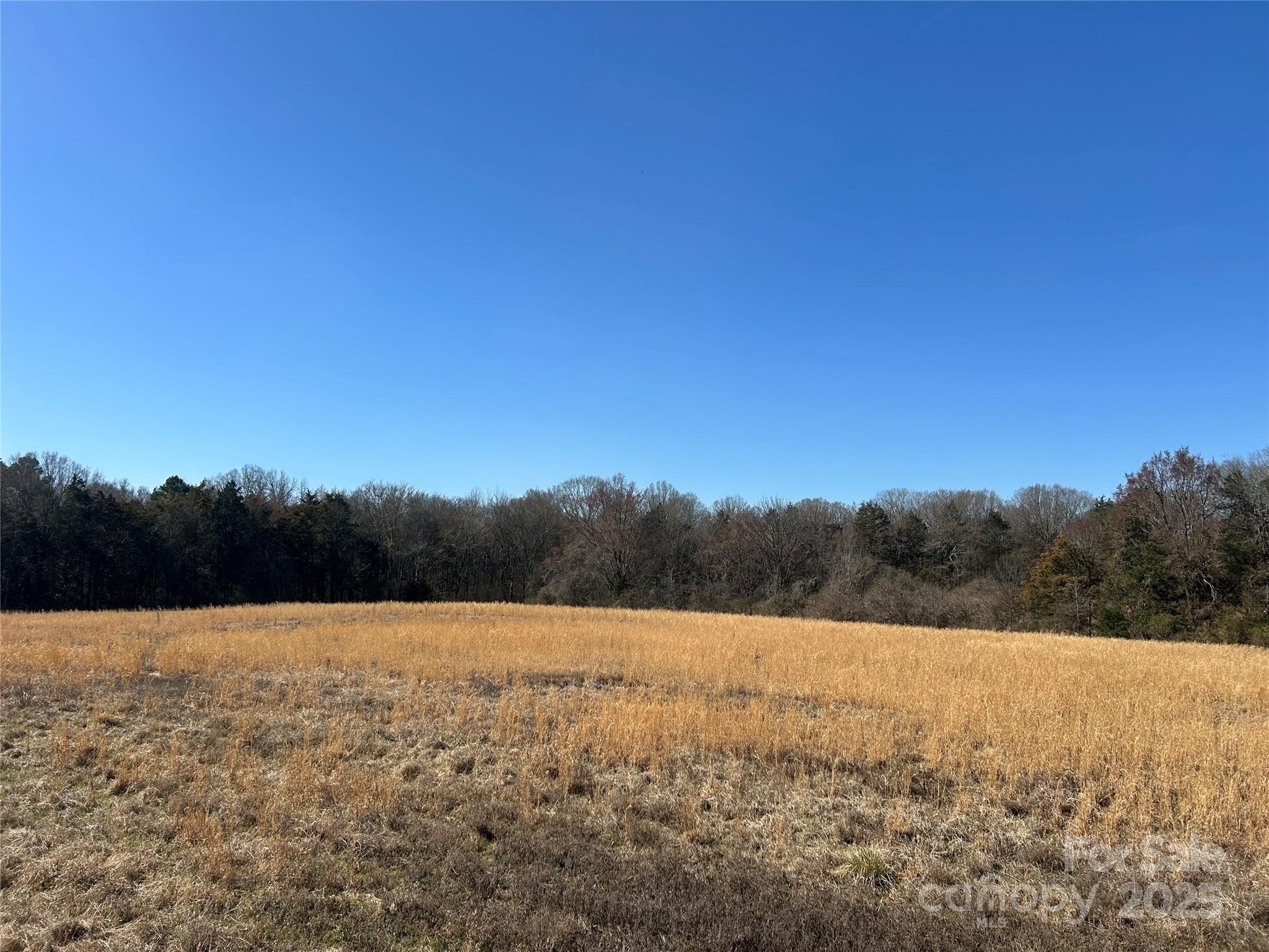 Rock Hill Farmland Opportunity