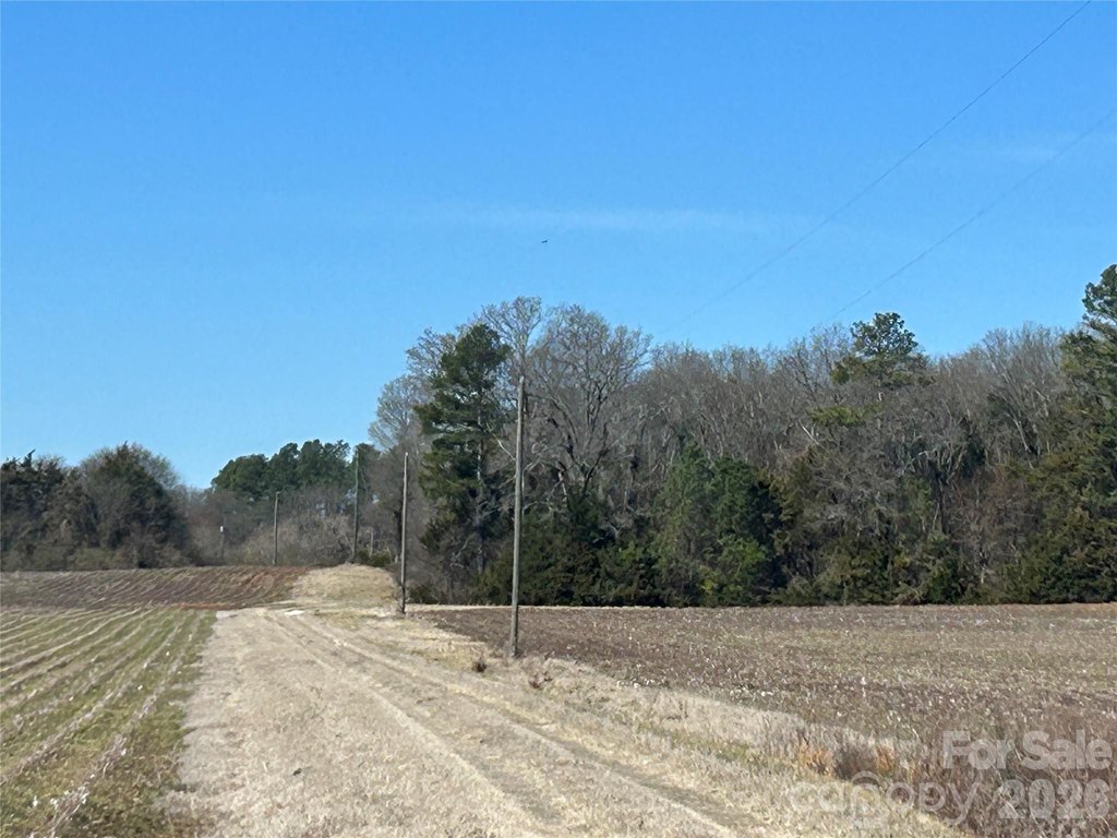 Picture 35
