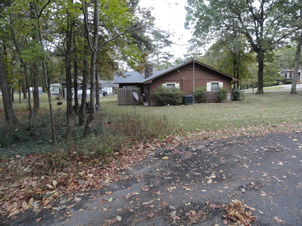 Picture 11