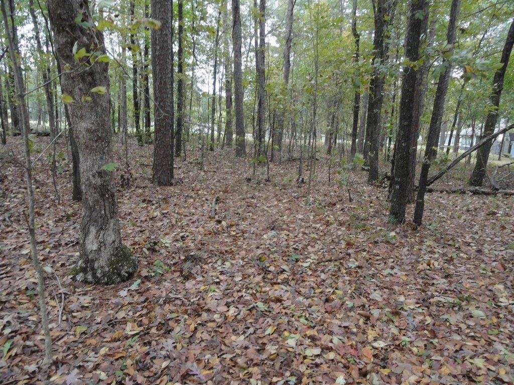 Picture 6