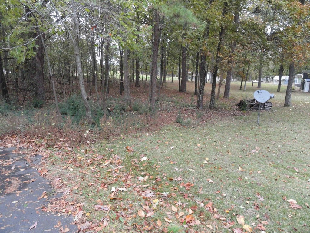 Picture 3