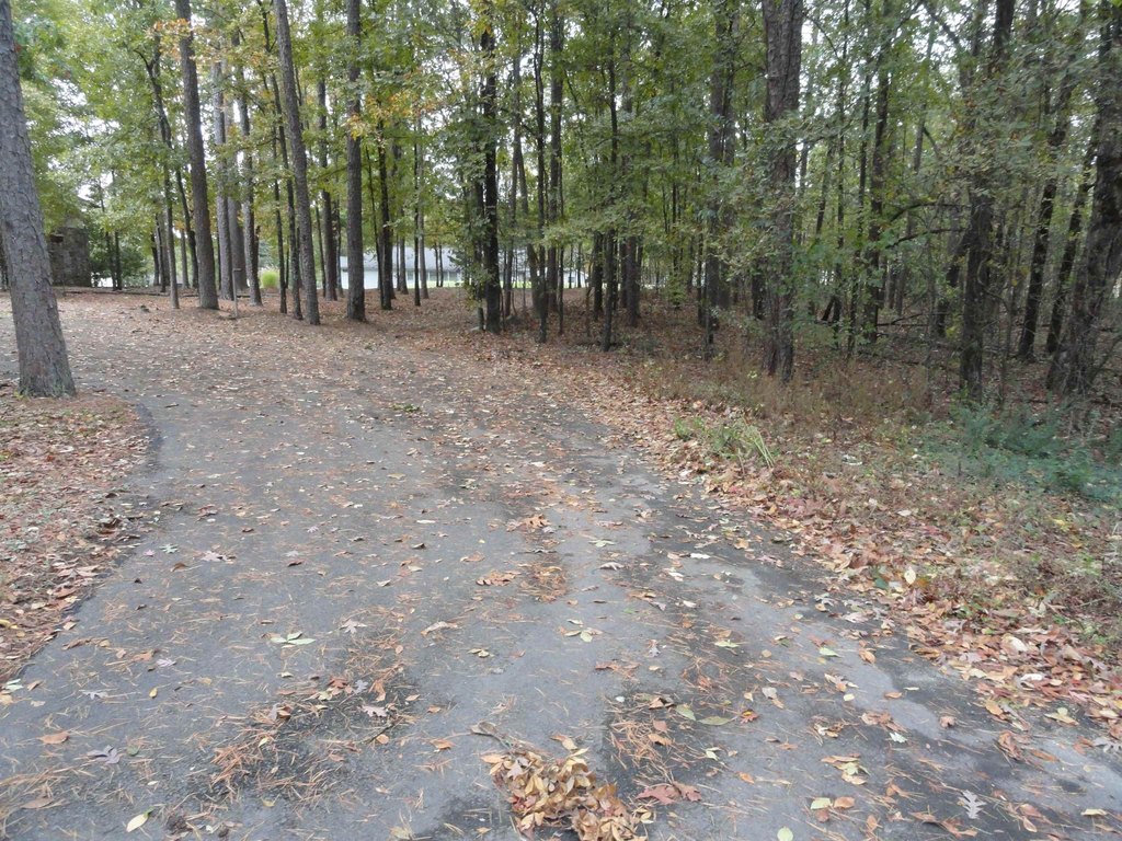 Picture 4