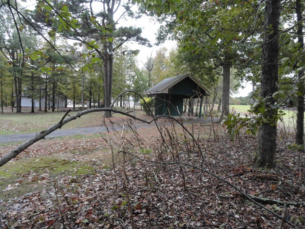 Picture 9