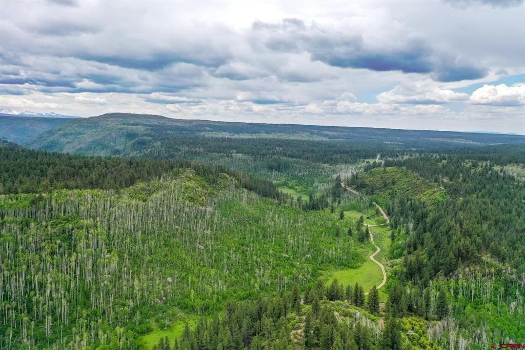 Dolores, CO Land For Sale