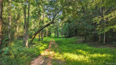 LAND - Tallassee, AL