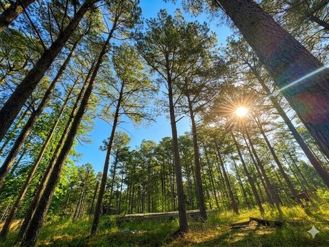 LAND - Broken Bow, OK