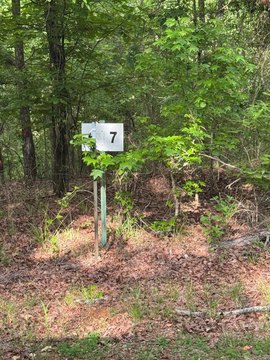 Wooded Land Homesite in Camden