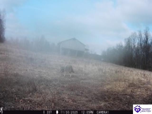 Picture 23
