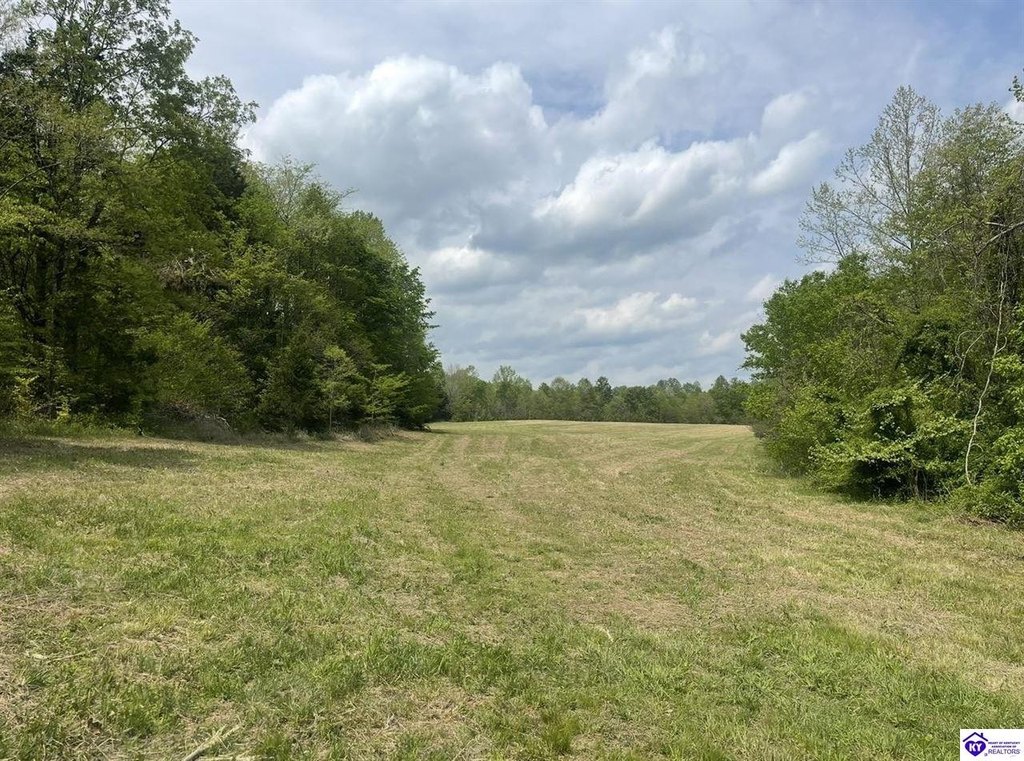 Picture 27