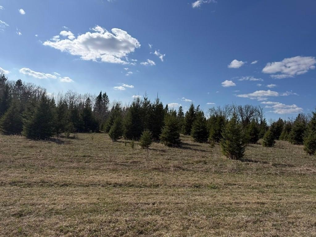 80 Acres Recreational Land
