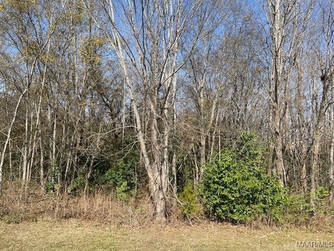 Land, Montgomery, AL