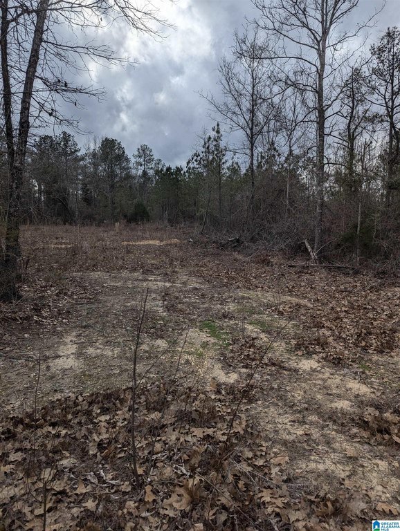 Picture 7
