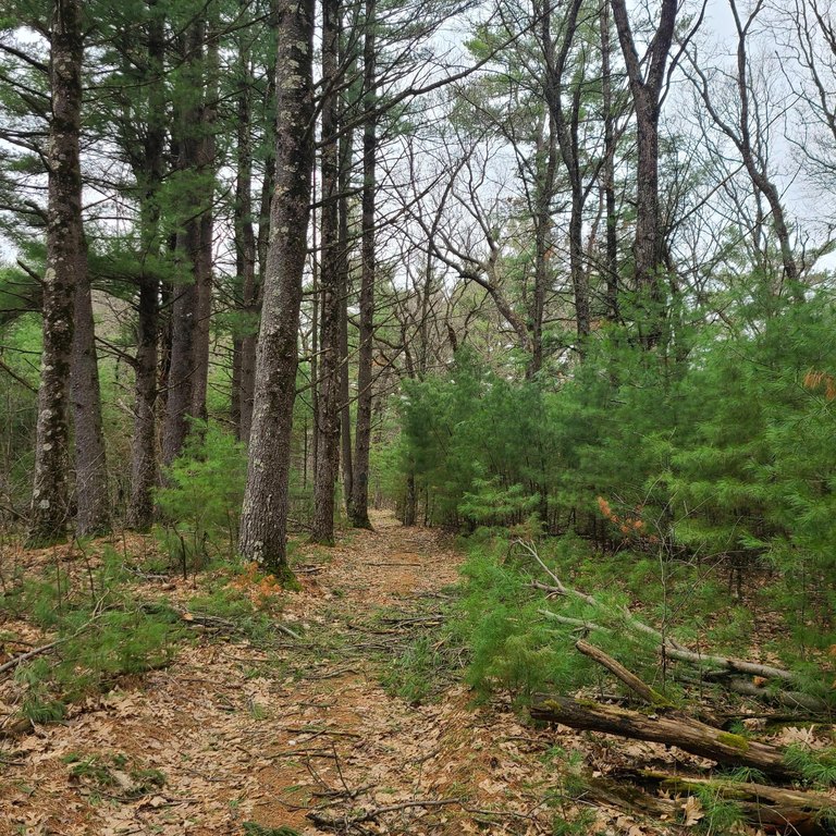 Picture 8
