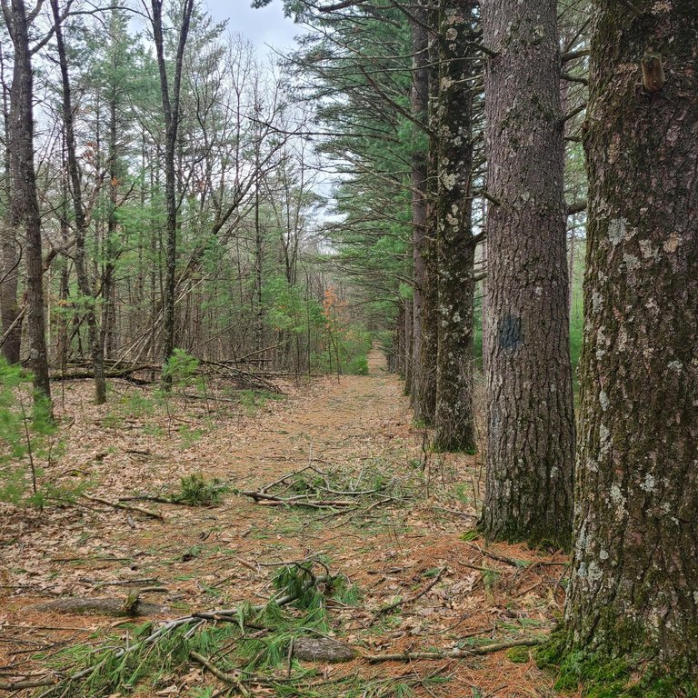 Picture 7