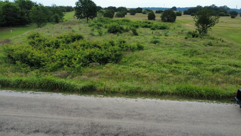 Picture 3