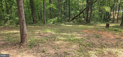 Land, CULPEPER, VA