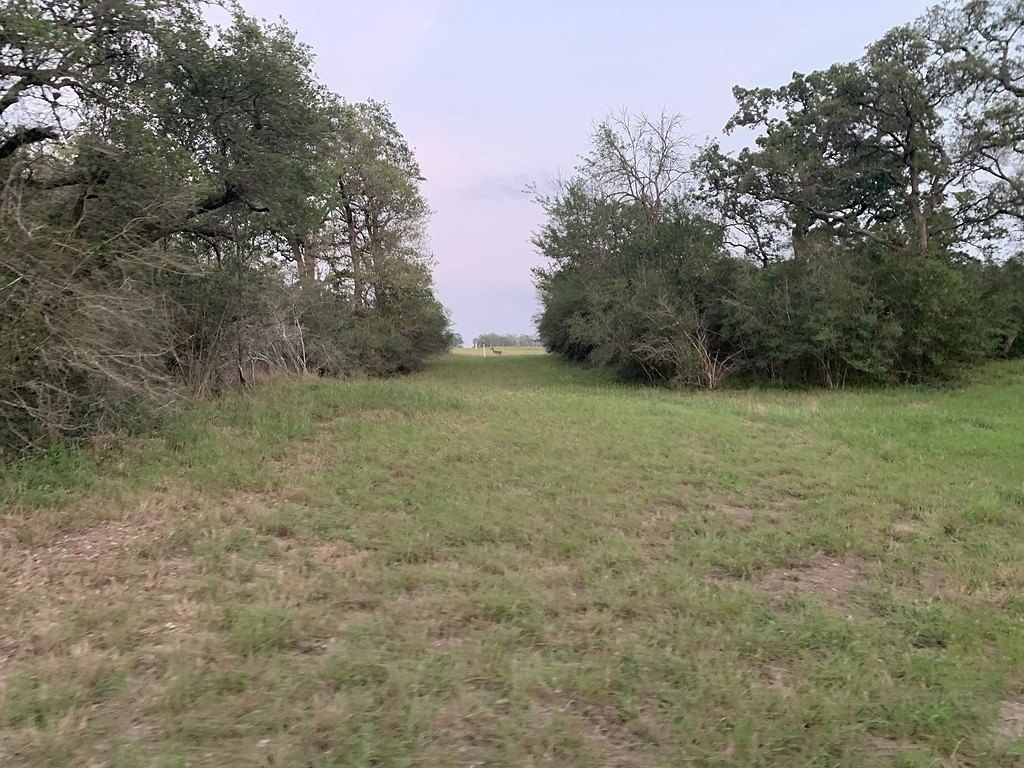 Picture 20