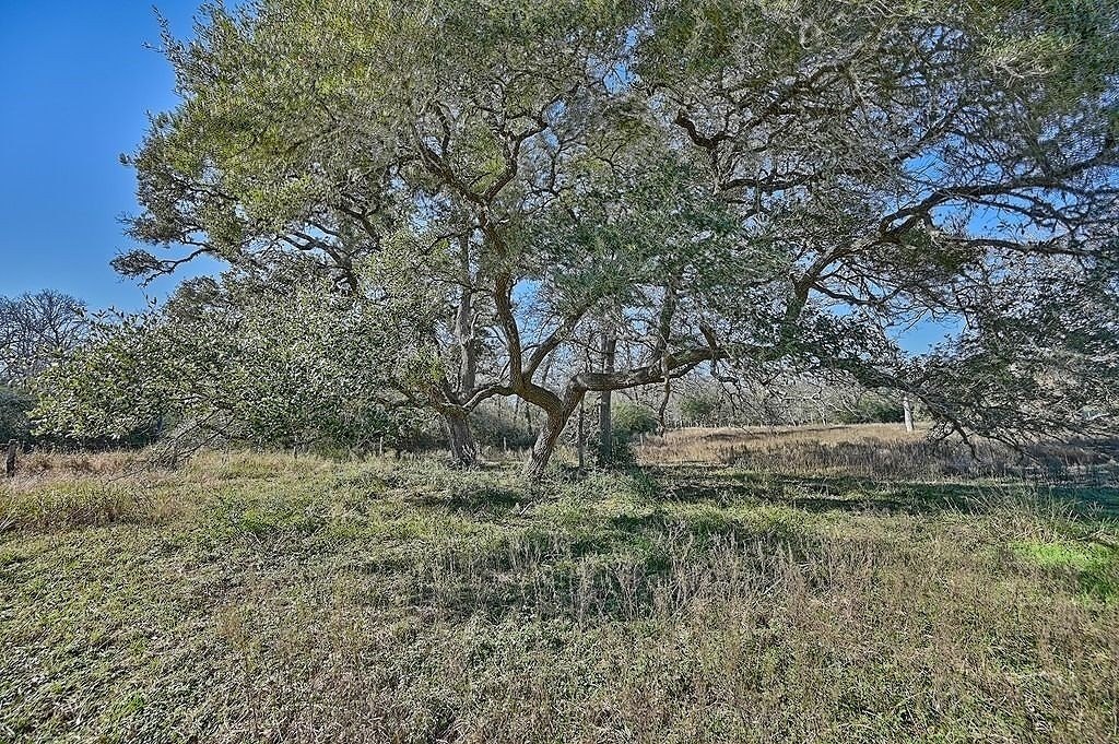 Picture 19