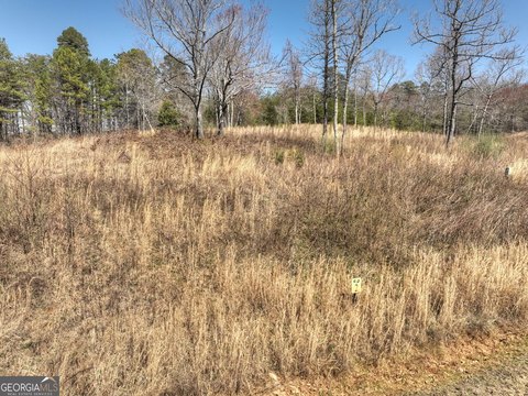 Picture of Land at Arbor Creek Trl 2, Mineral Bluff, GA