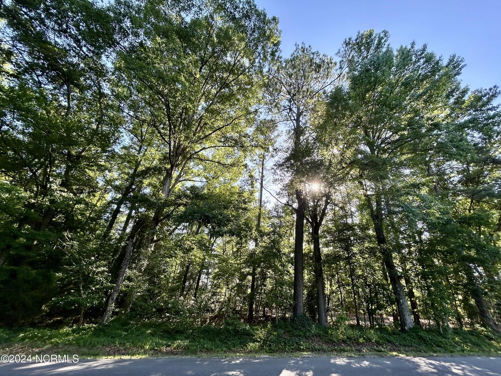 Picture 20