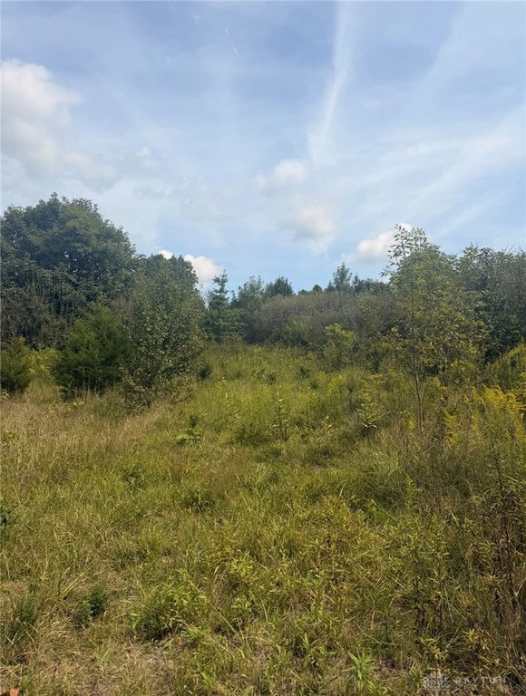 Picture 6