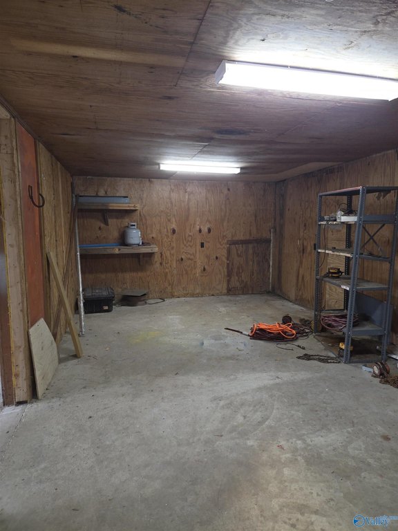 Picture 5