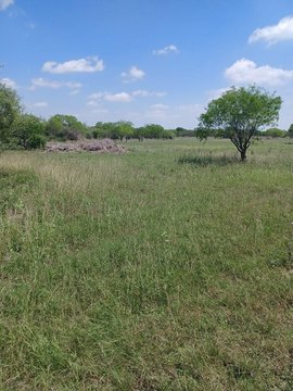 Cleared Land in Skidmore, TX