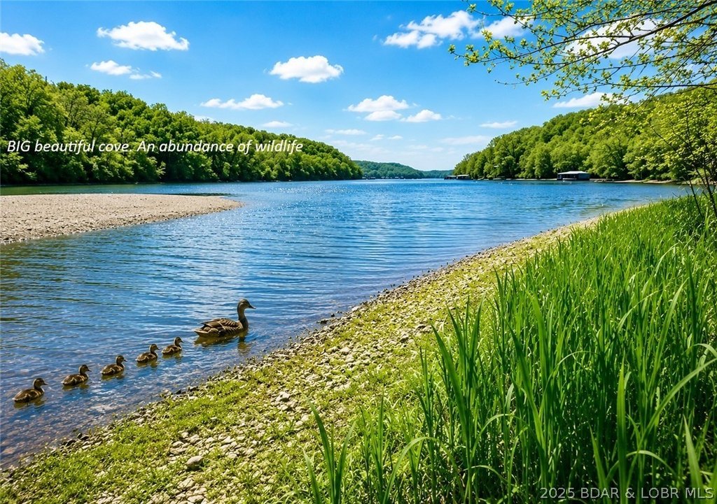 Picture 8