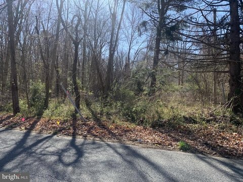 Land, WILLIAMSTOWN, NJ