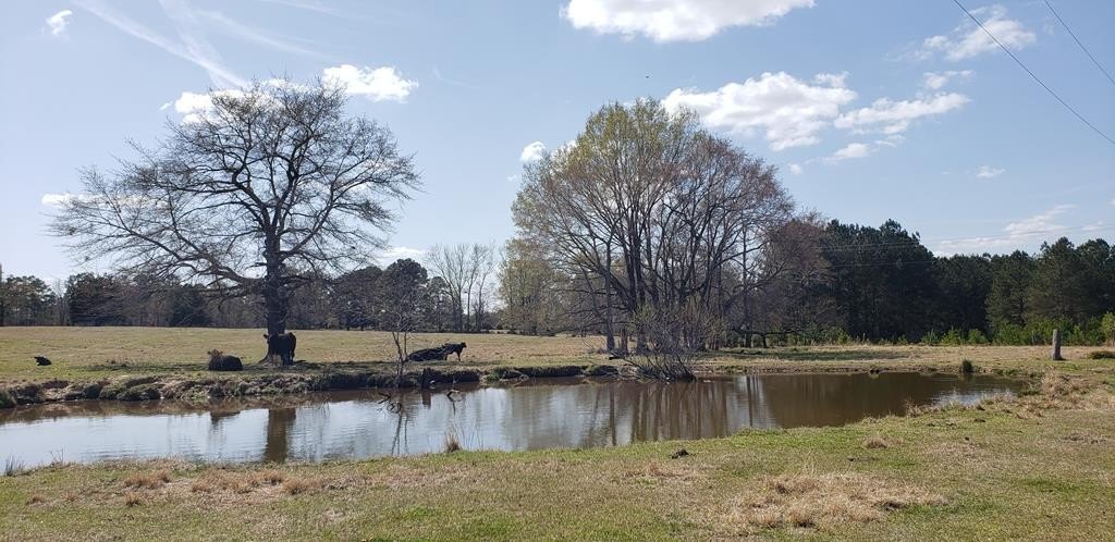 Edgefield Land with Two Ponds