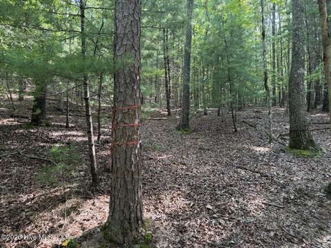 Land, Murphy, NC