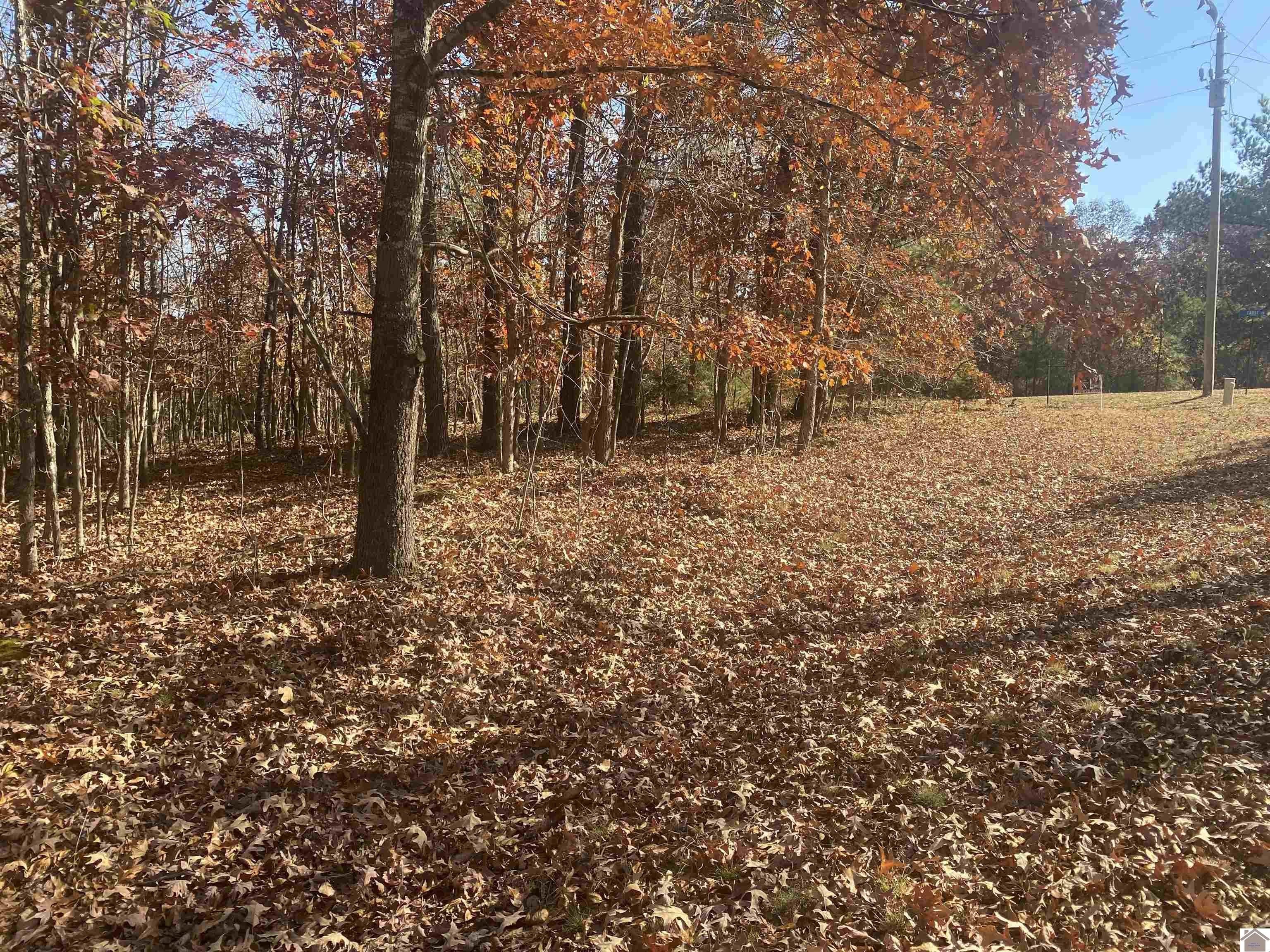 Residential Lot Near Jonathan Creek