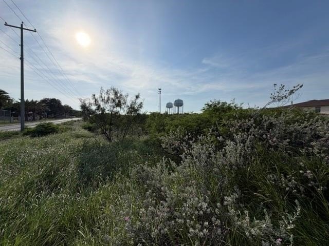 Picture 22