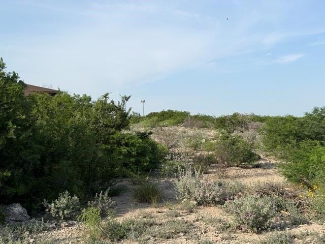 Picture 23