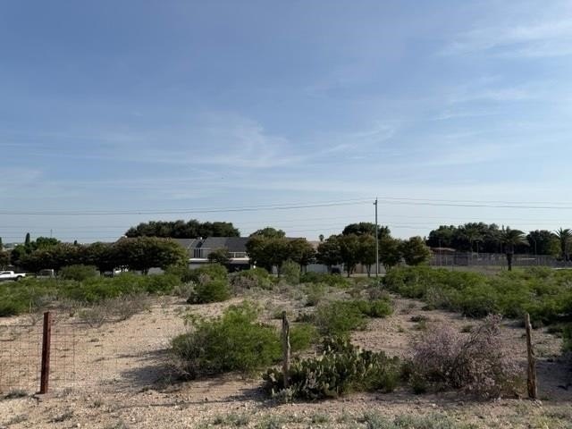 Picture 17