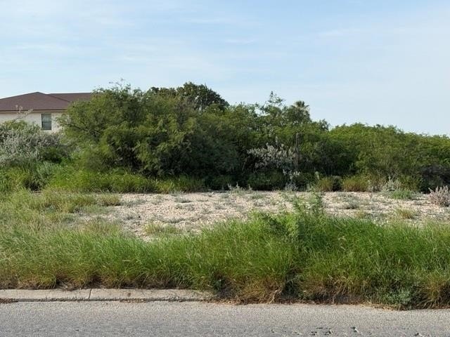 Picture 21