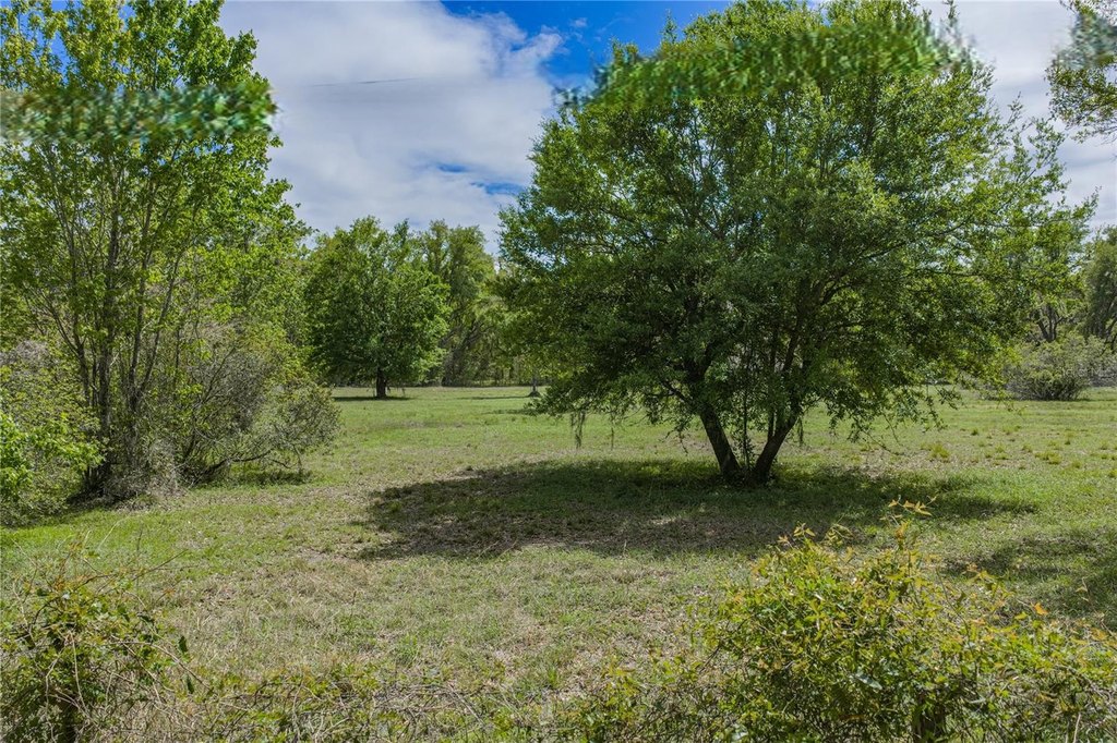 Picture 29