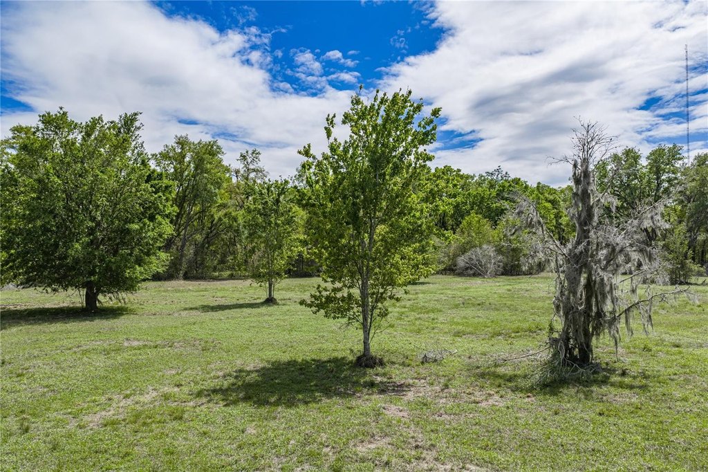 Picture 25