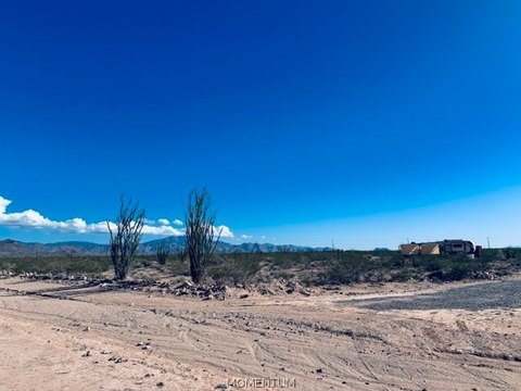 Land, Golden Valley, AZ