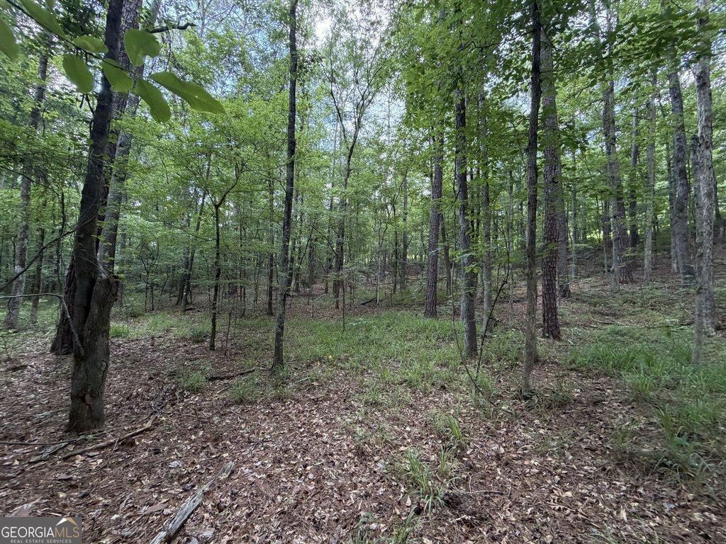 Picture 16