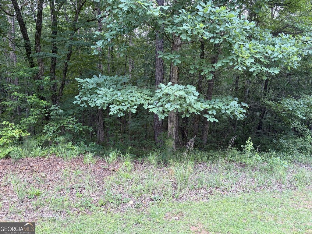 Picture 24