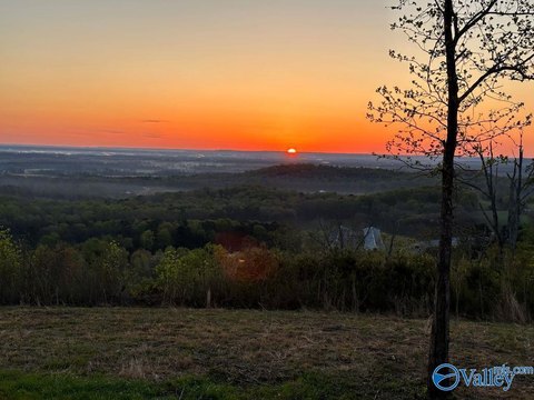Danville, AL Wooded Land