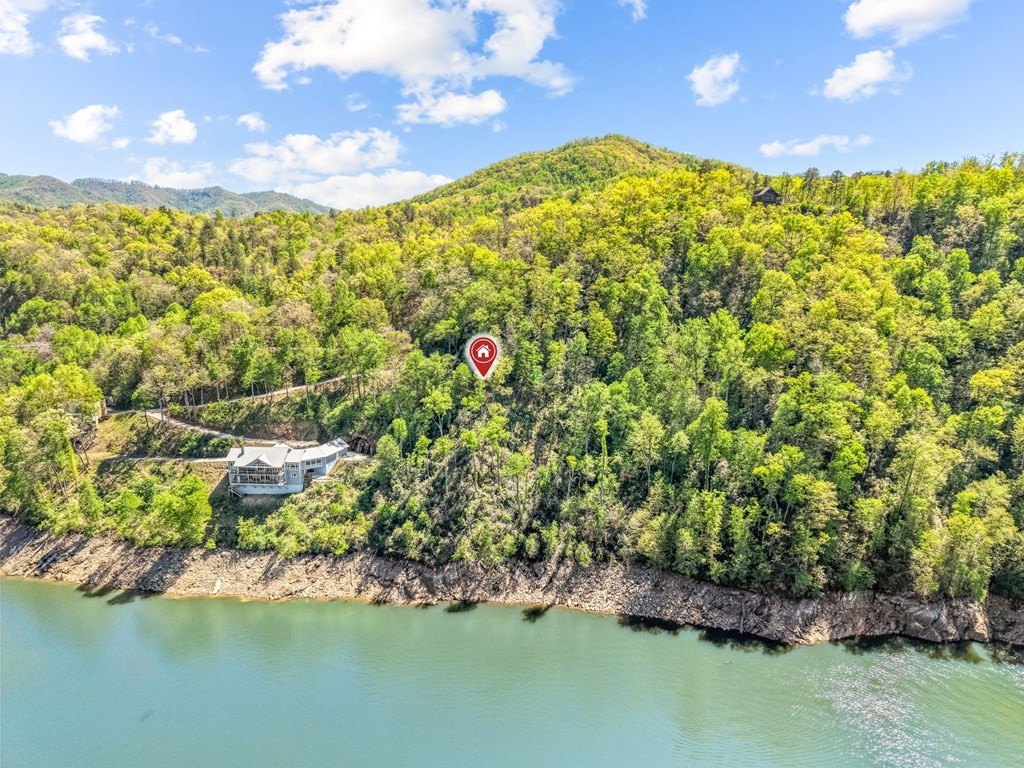 Picture 11