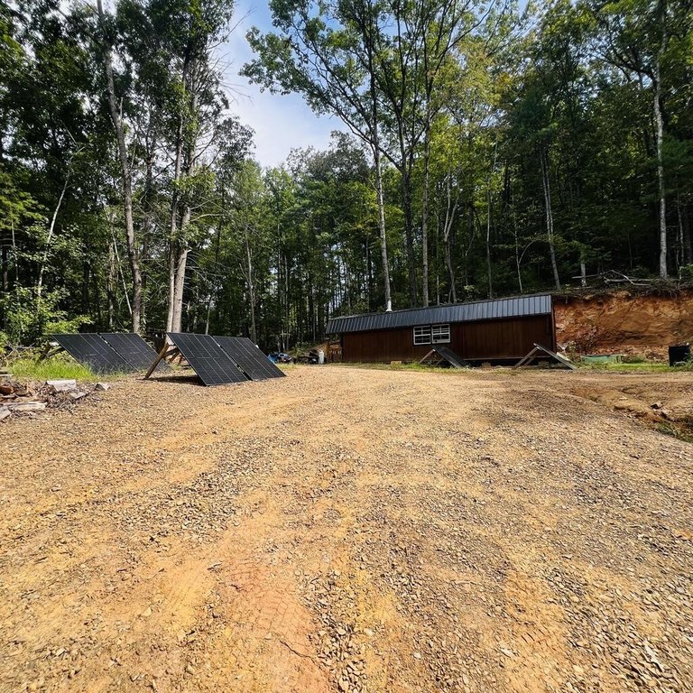 Picture 3