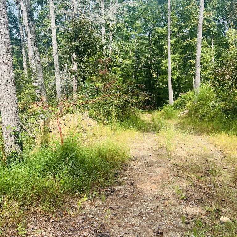 Picture 23