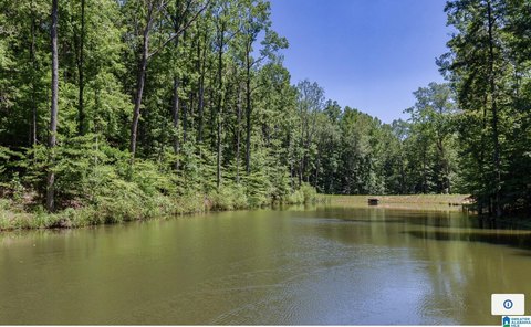 LAND - CHELSEA, AL